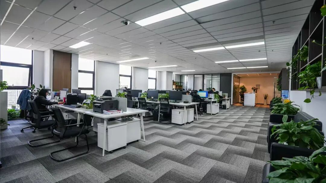 1764555247471416.jpg 92d56e9b578ed0f3ba78033b53b979cd.jpg